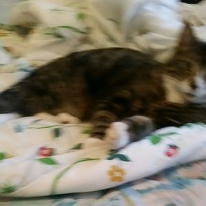 Meet your Posher, Stacy